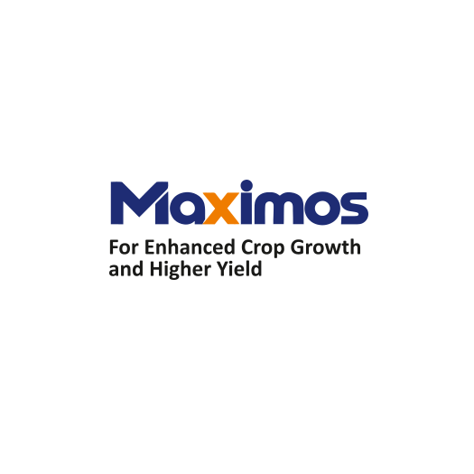 Maximos 1