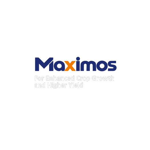 Maximos 3